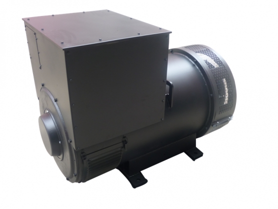 354 সিরিজ Brushless Synchronous এসি বিকল্প 