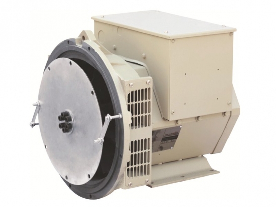 164 সিরিজ Brushless Synchronous এসি বিকল্প 